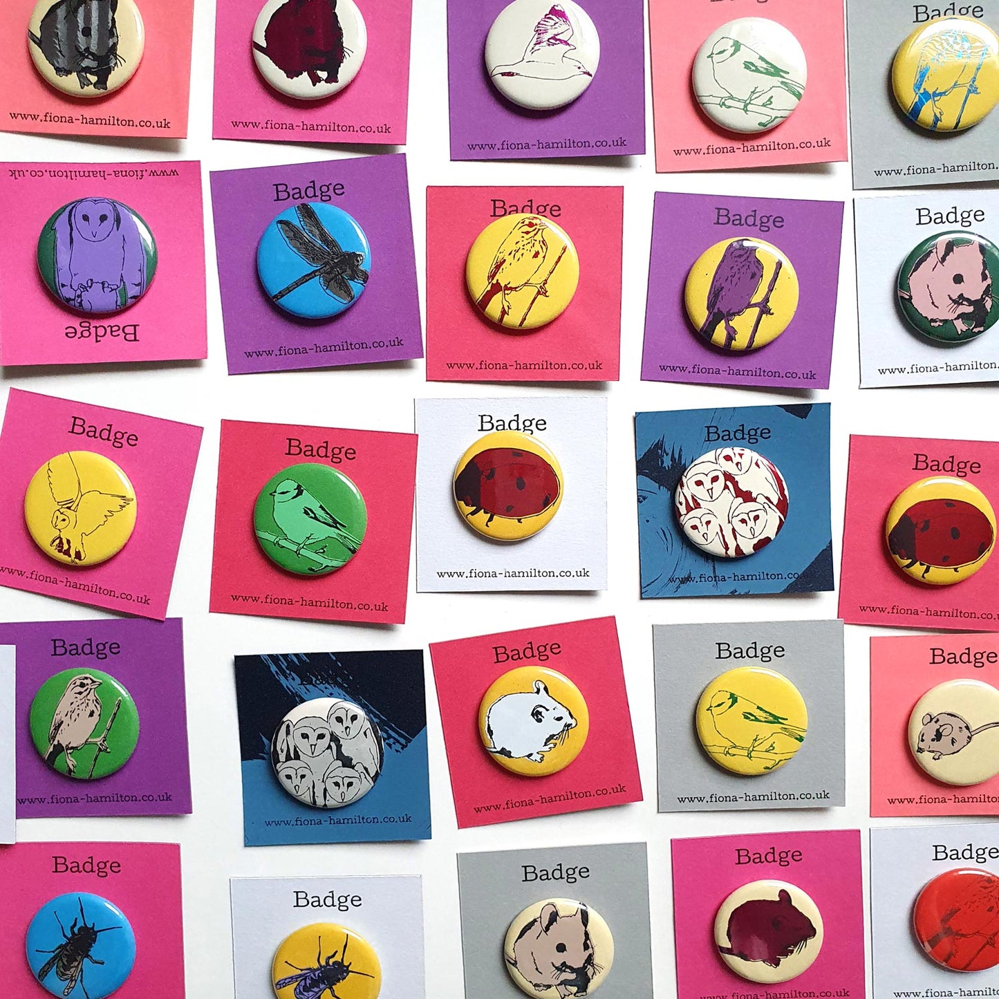Colourful bird, insect, rodent, mouse pin button badges