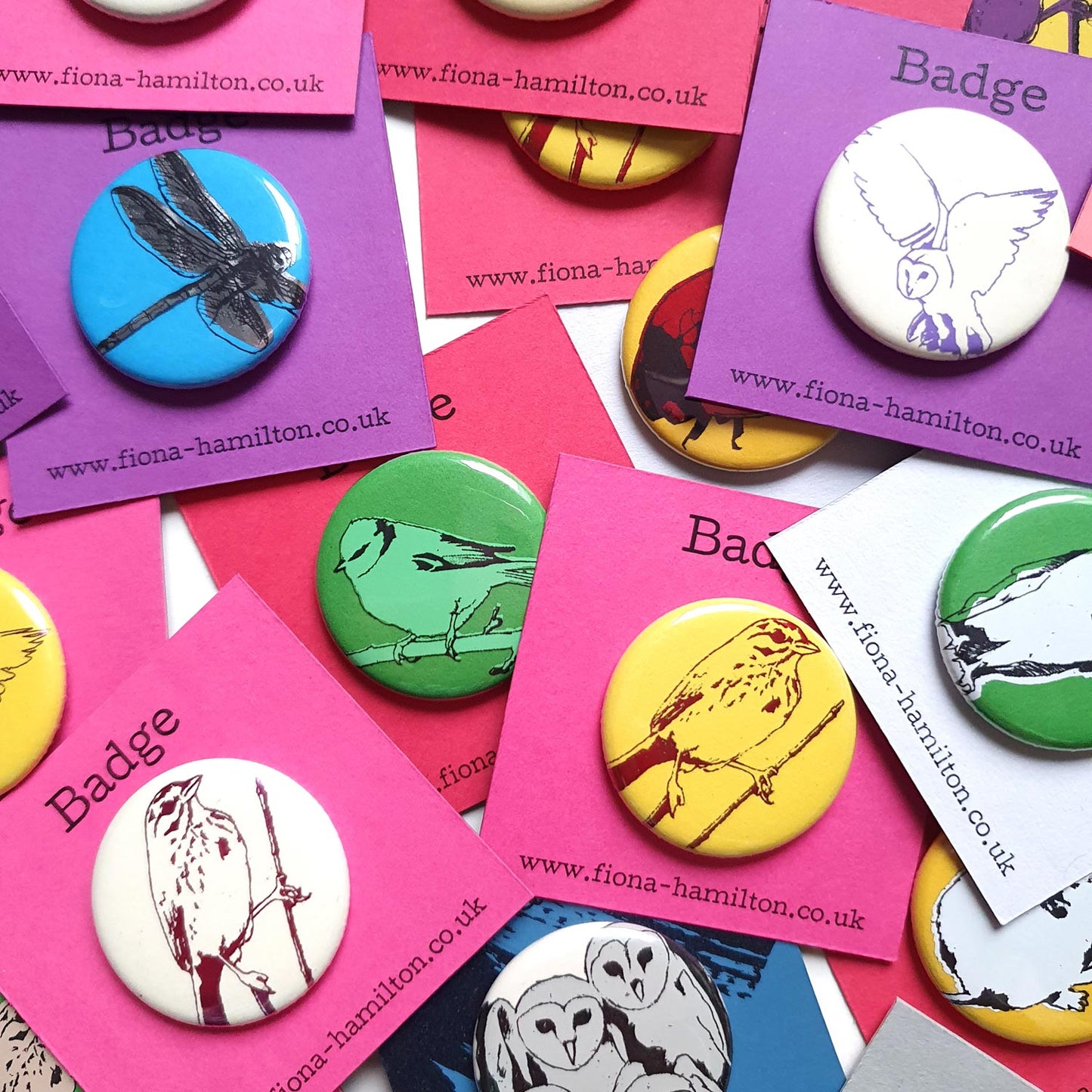 Colourful bird, insect, rodent, mouse pin button badges