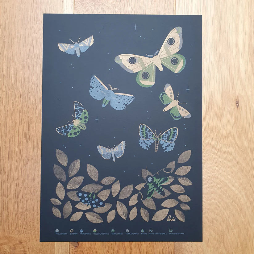 Beautiful Moths A3 Print