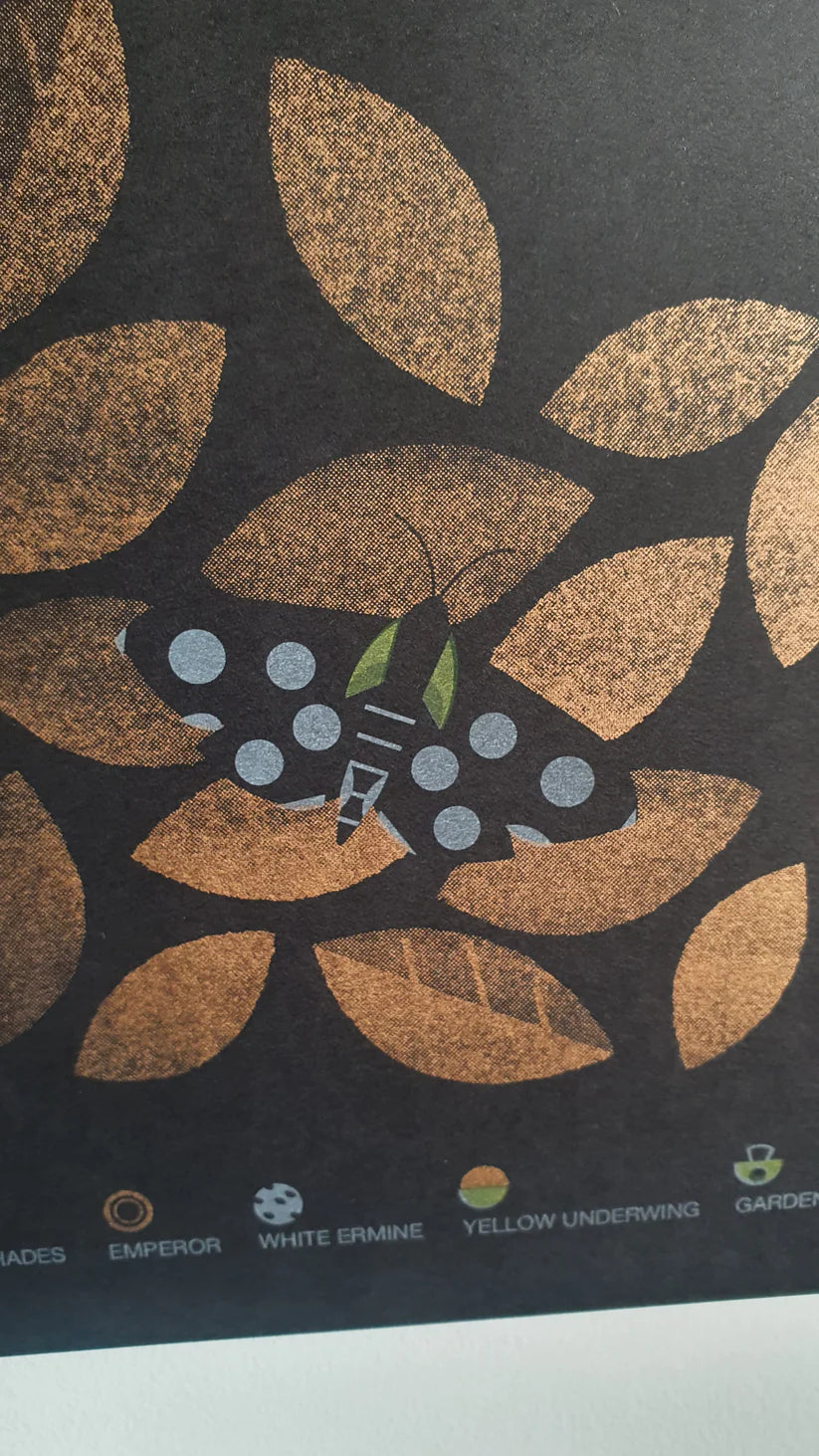 Beautiful Moths A3 Print
