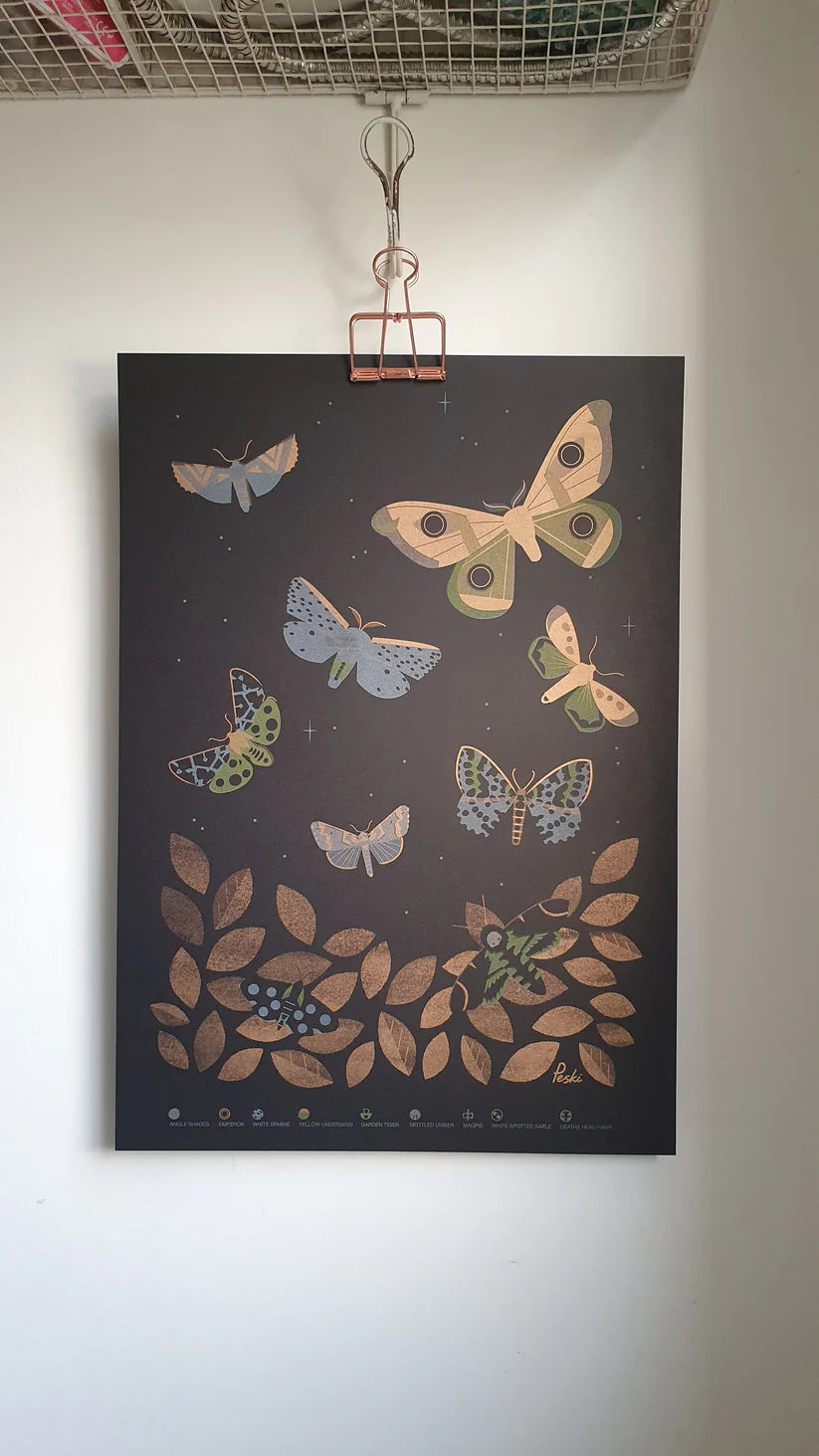 Beautiful Moths A3 Print