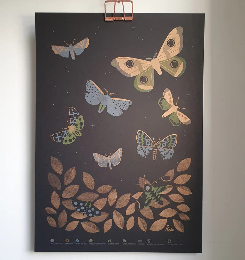 Moths risograph printed A3 poster by Peski Studio.