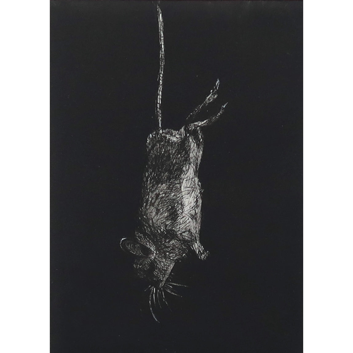 Captus etching intaglio original art print of a mouse by Fiona Hamilton.