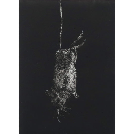 Captus etching intaglio original art print of a mouse by Fiona Hamilton.