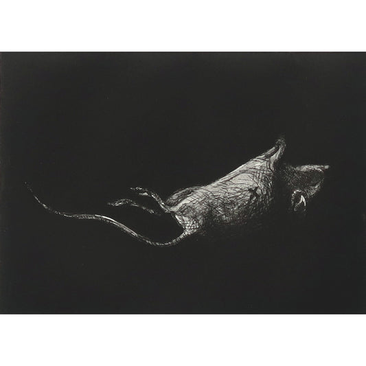 Mortuus etching of a mouse by Fiona Hamilton.