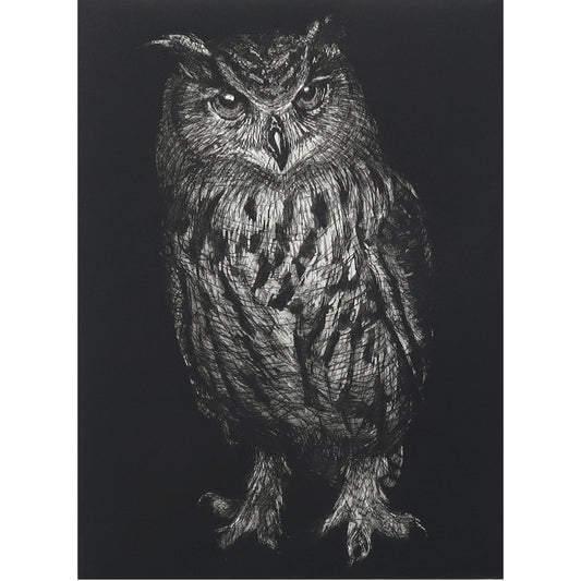 Noctua owl intaglio etching print by Fiona Hamilton.