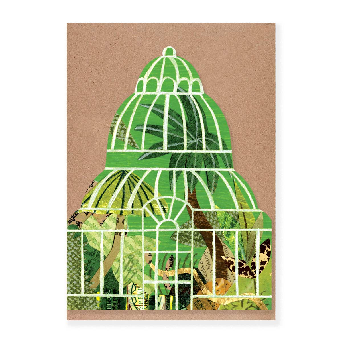 Palm house greeting card by Mortlake Papers.