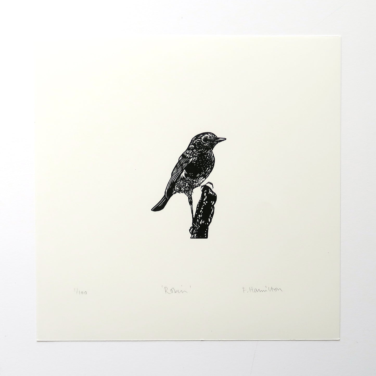 Robin (on stump) Print