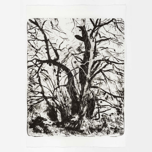 Wintertide stone lithography original art print by Multi-Disciplinary printmaker Fiona Hamilton depicting a tree in Winter in Ashton Court.
