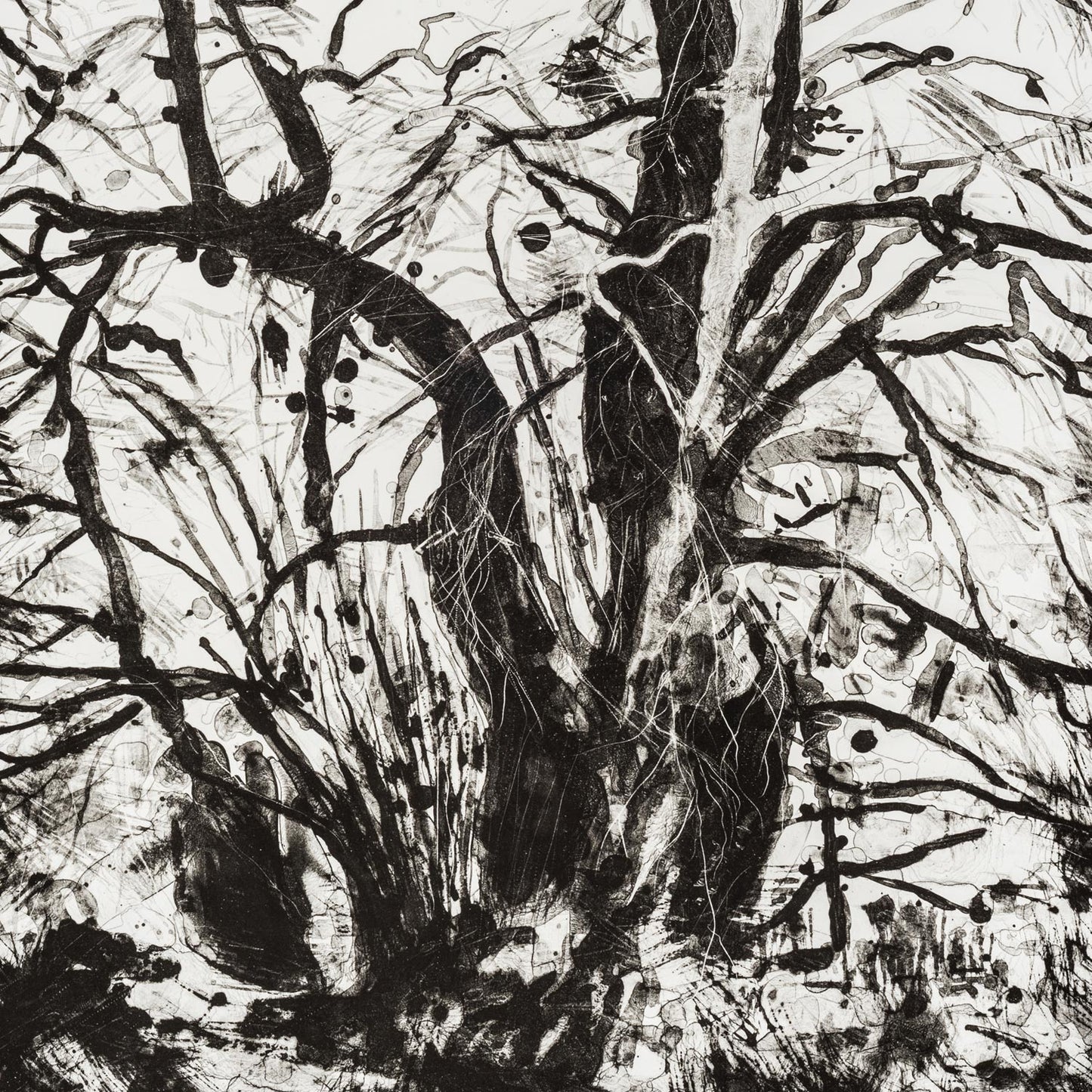 Wintertide stone lithography original art print by Multi-Disciplinary printmaker Fiona Hamilton depicting a tree in Winter in Ashton Court.