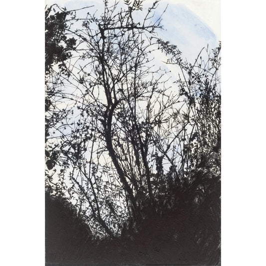 Summerhouse Plantation in Winter drypoint etching original print with watercolour and chine colle of trees and branches by Fiona Hamilton in blue, black and white.