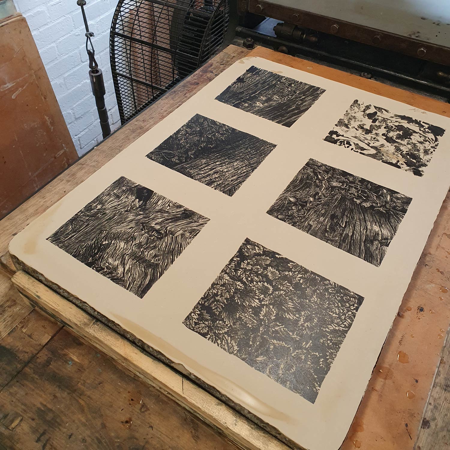 Sunbleached stone lithography original art print by printmaker Fiona Hamilton.