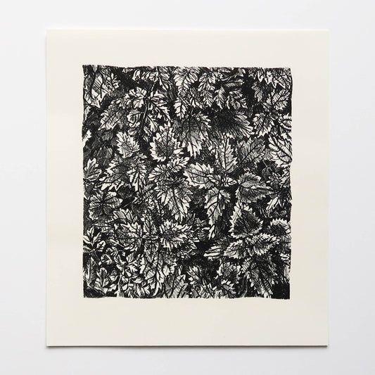 Undergrowth original stone lithography print by Fiona Hamilton.
