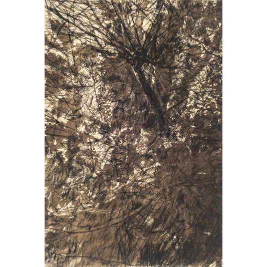 Understorey drypoint etching original art print with lithography and chine colle of trees and branches by Fiona Hamilton in brown, black and cream.