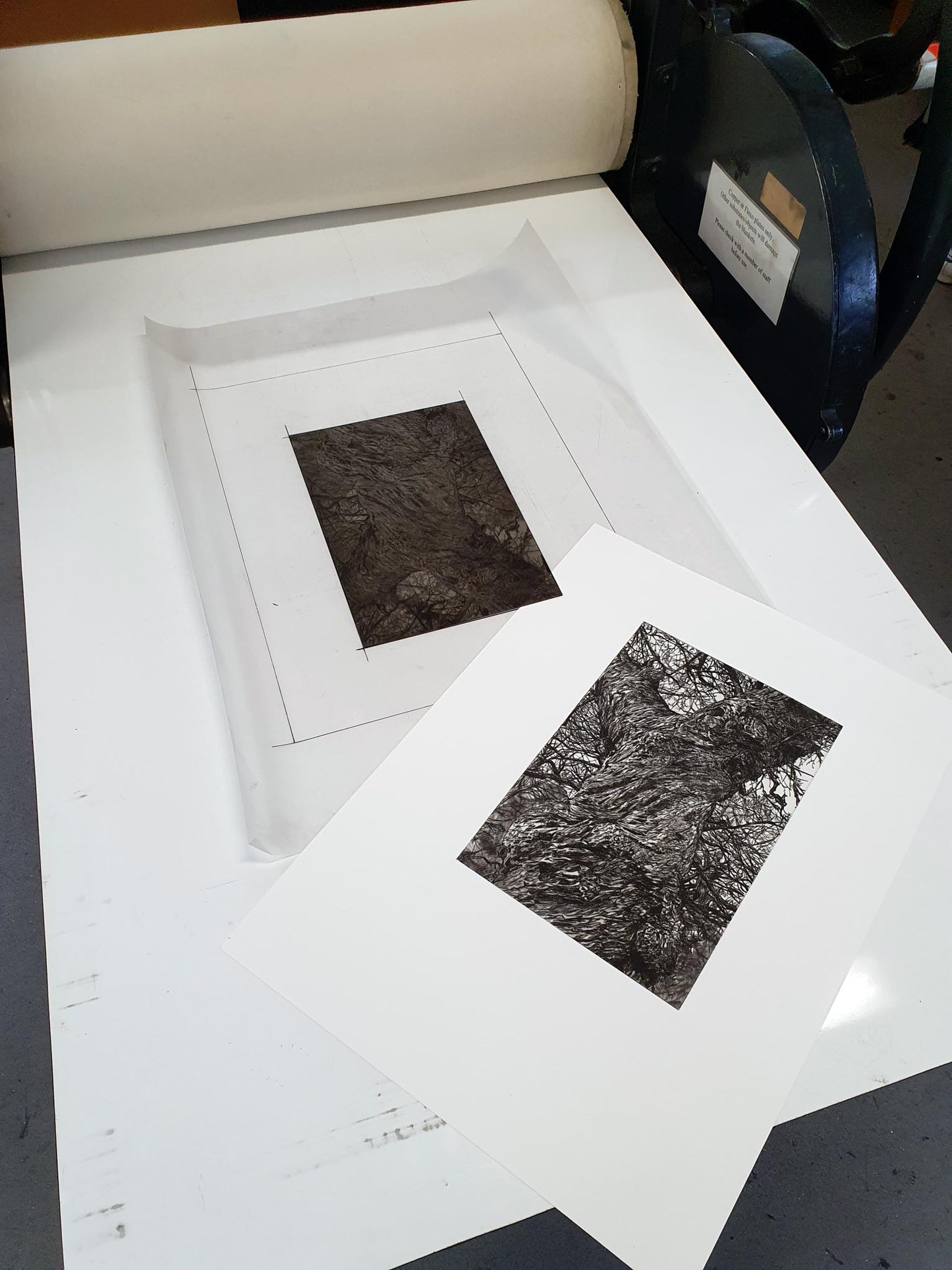 Winter Chestnut Print