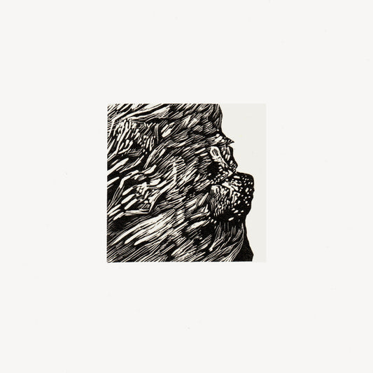 Chestnut Scars Wood Engraving Art Print