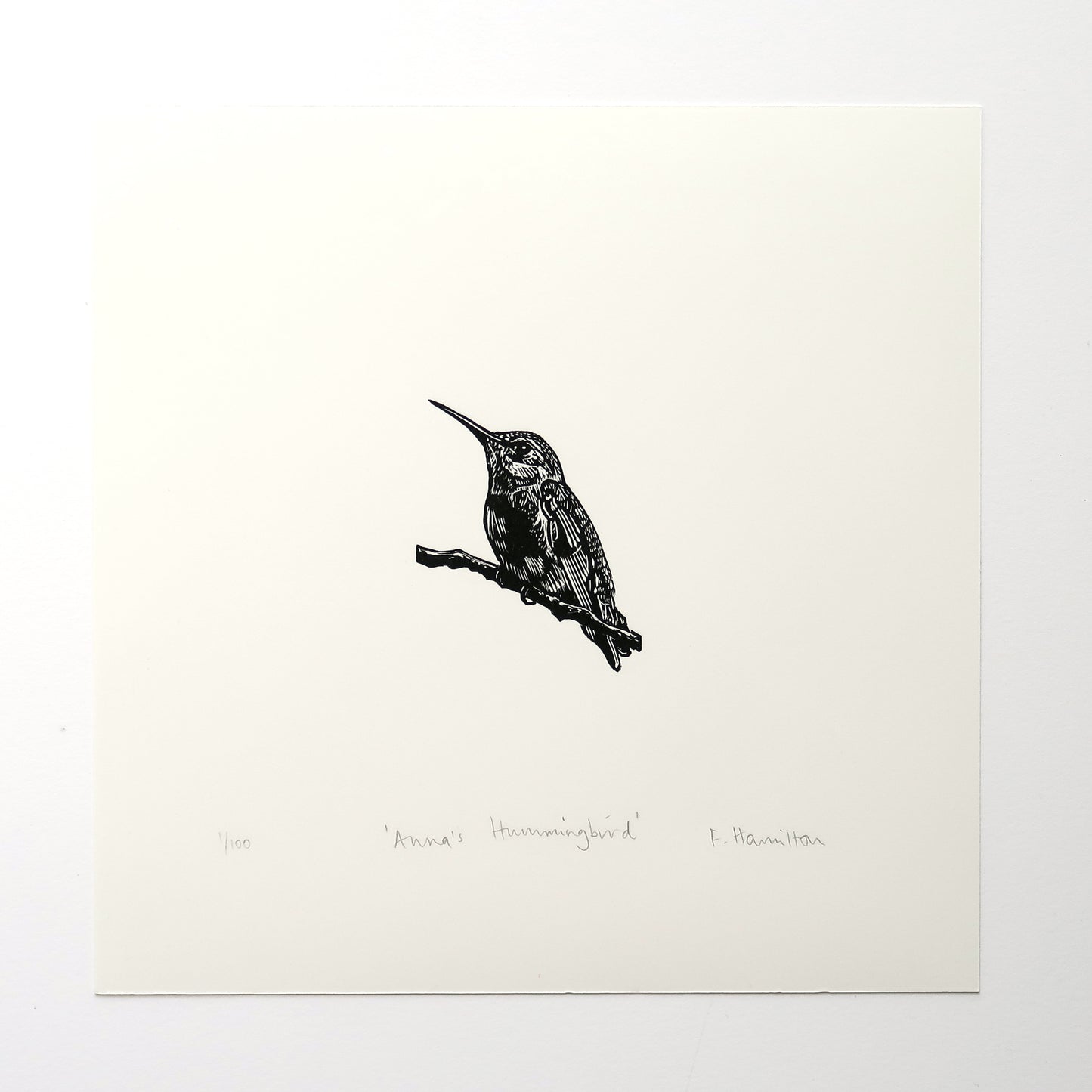 Anna's Hummingbird Print