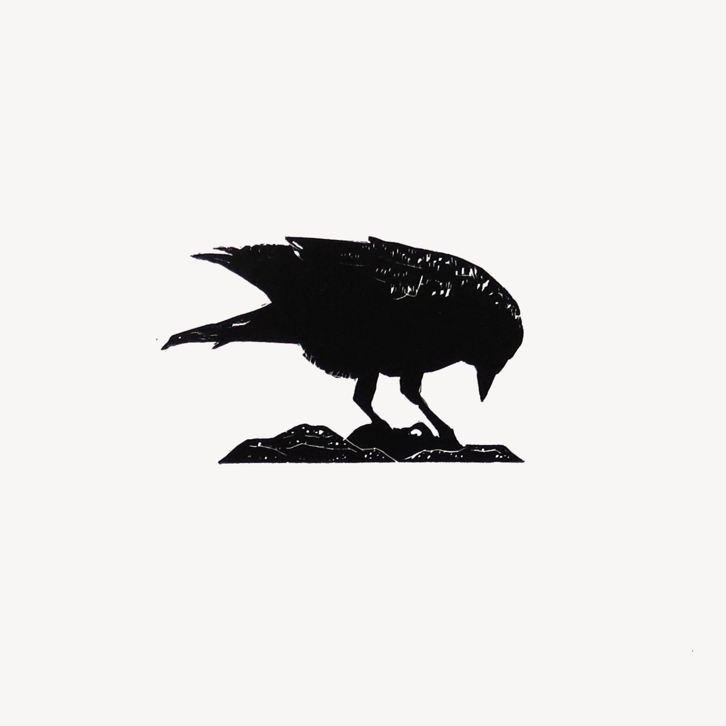 Pecking Jackdaw miniature original wood engraving carved and cut print by artist Fiona Hamilton.