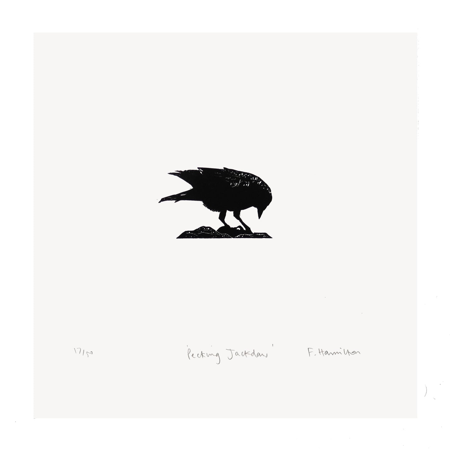 Pecking Jackdaw miniature original wood engraving carved and cut print by artist Fiona Hamilton.