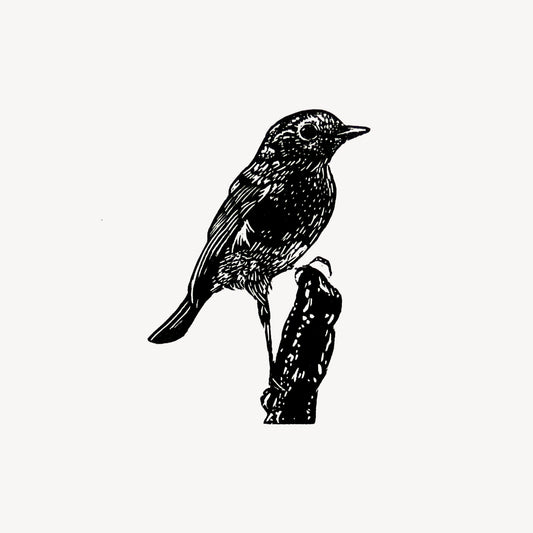 Robin on stump miniature wood engraving print by Fiona Hamilton.