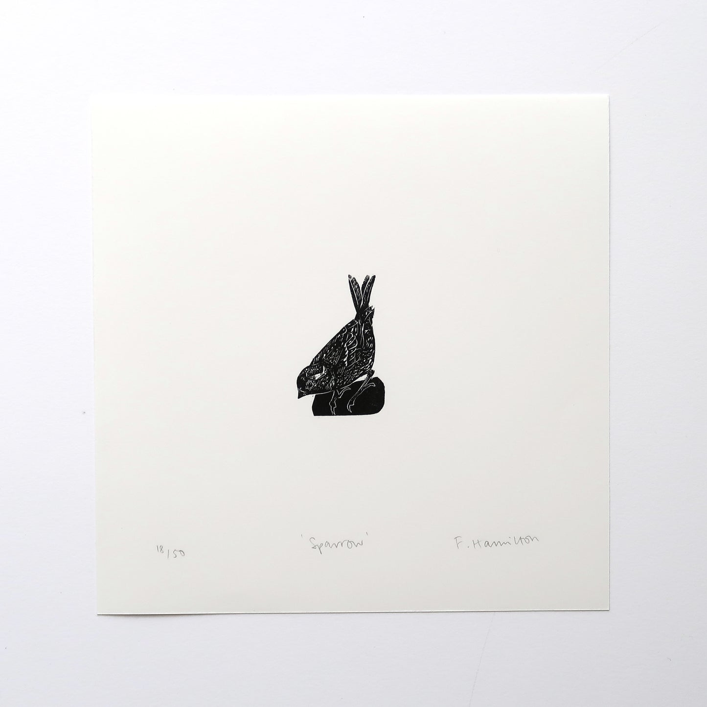 Sparrow Print