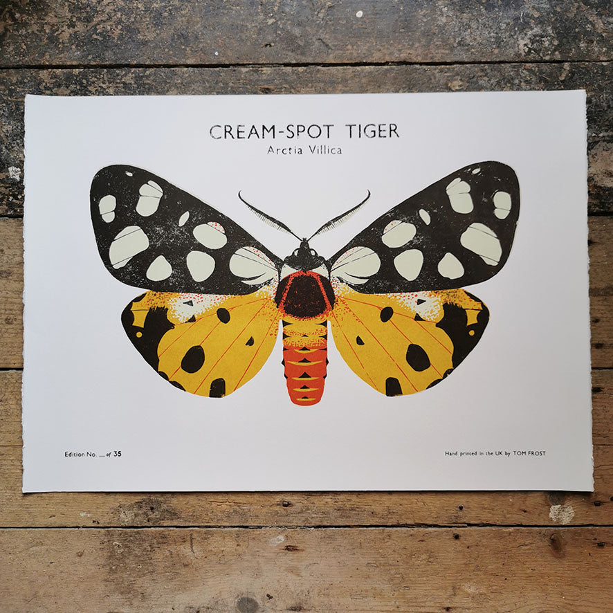 Cream Spot Tiger Moth Print