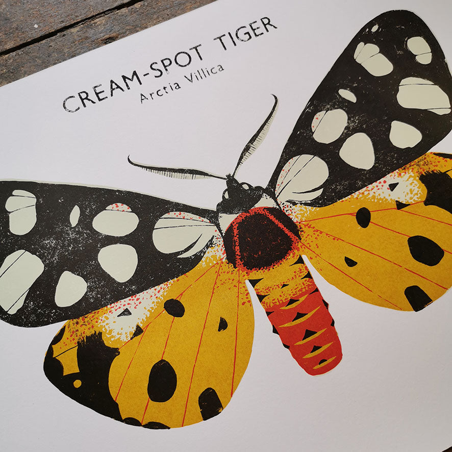 Cream Spot Tiger Moth Print