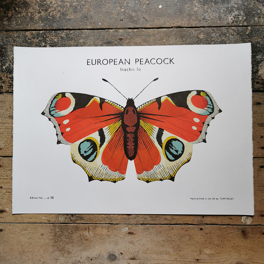 European Peacock Butterfly silkscreen print by Tom Frost.