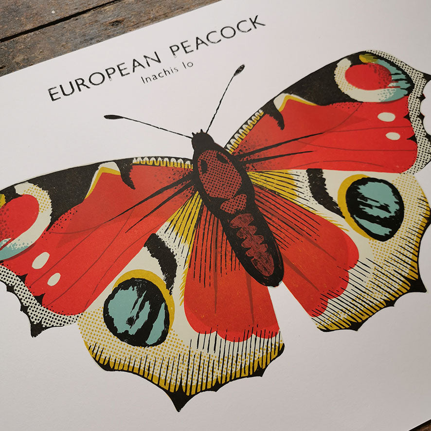 European Peacock Butterfly silkscreen print by Tom Frost