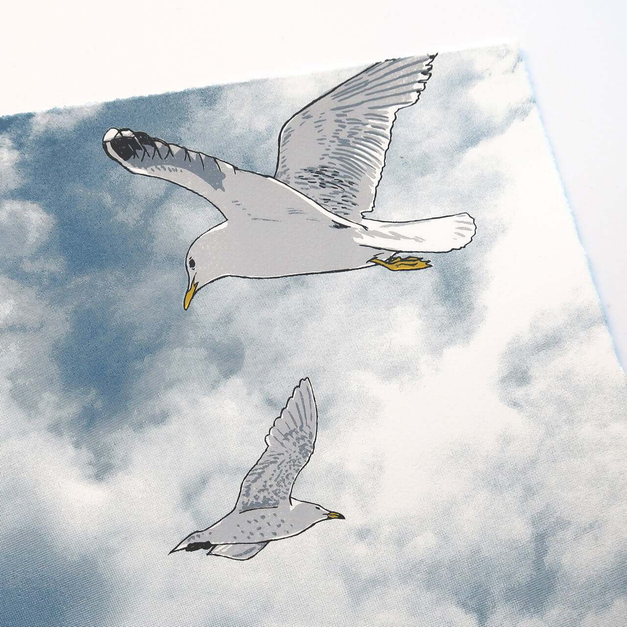 Gulls and goods cranes silkscreen print by Fiona Hamilton.