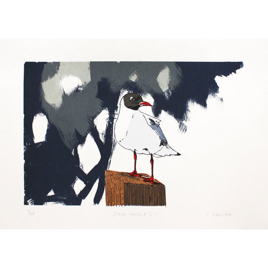 Black Headed Gull screen print of a seagull on a post by Fiona Hamilton