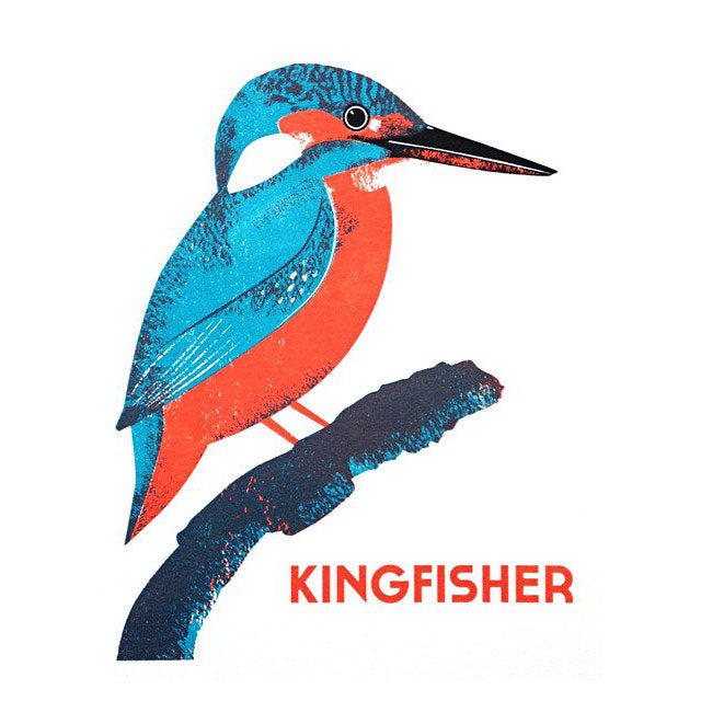Kingfisher Print