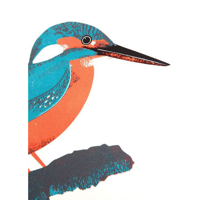 Kingfisher Print