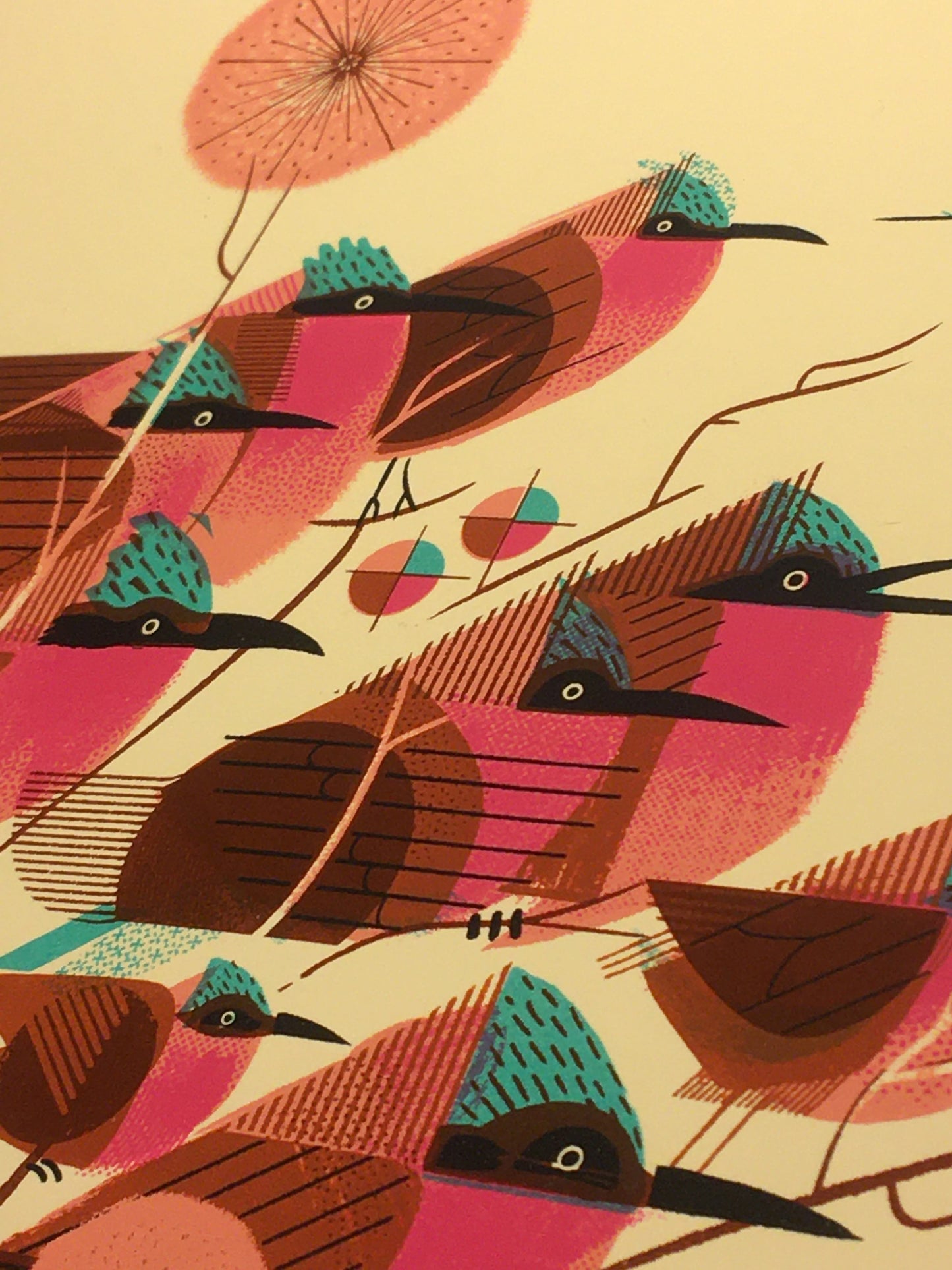 Carmine Bee Eaters Print