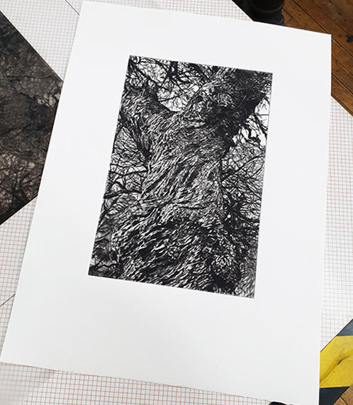 Winter Chestnut Print