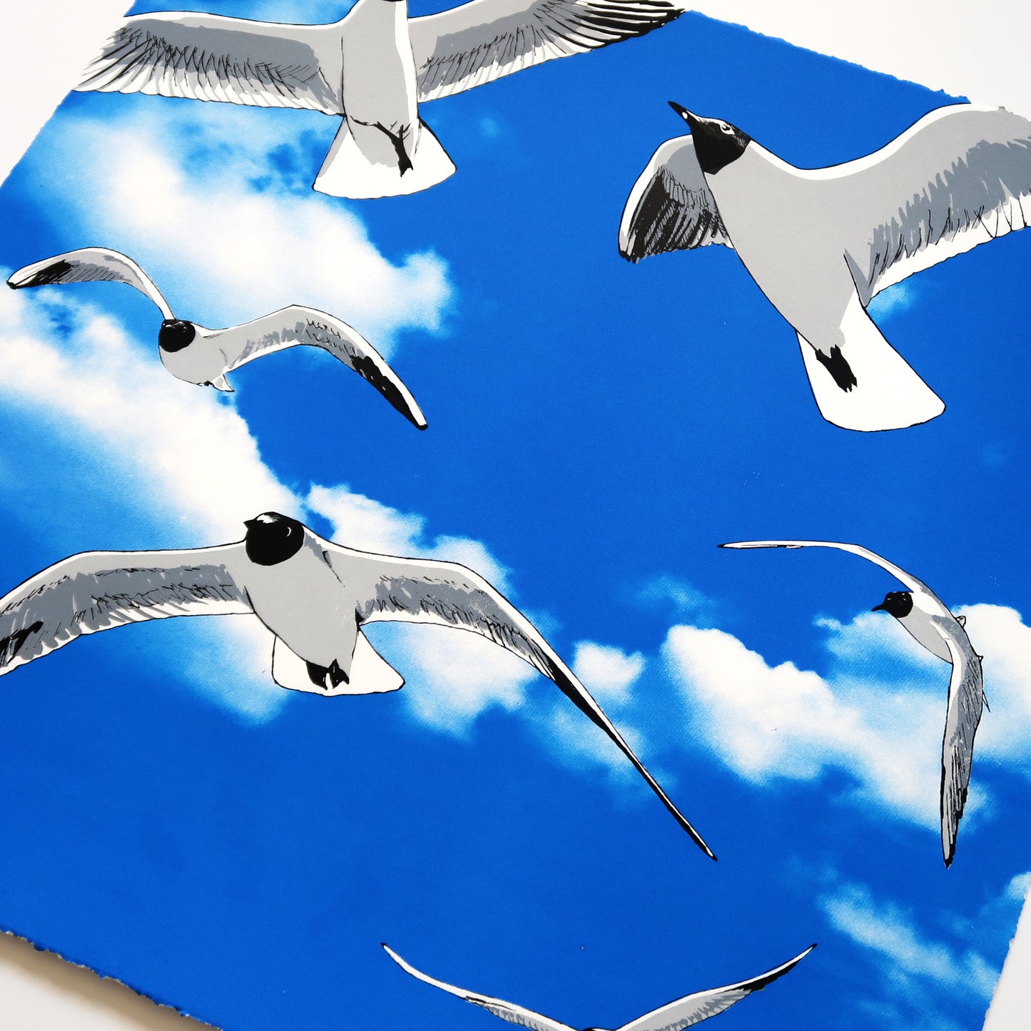 Colony of Black Headed Gulls against a blue cloudy sky original screenprint by Fiona Hamilton.