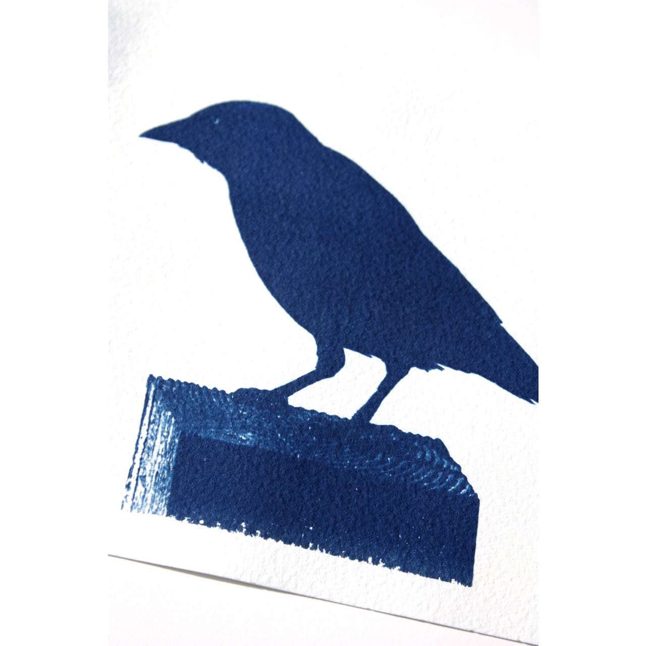 Jackdaw bird on post cyanotype prussian blue original art print by Fiona Hamilton