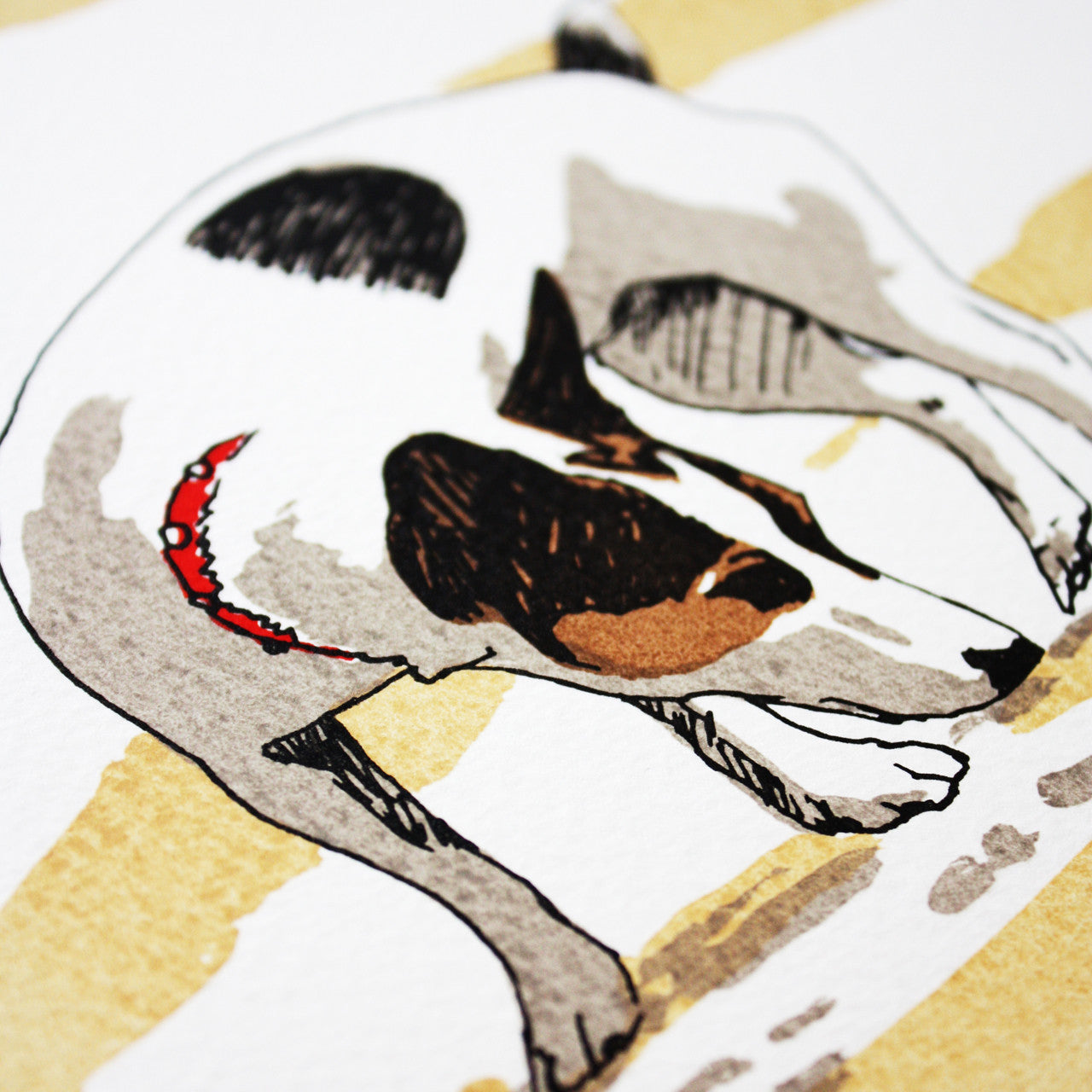Dog on the Beach print by Fiona Hamilton