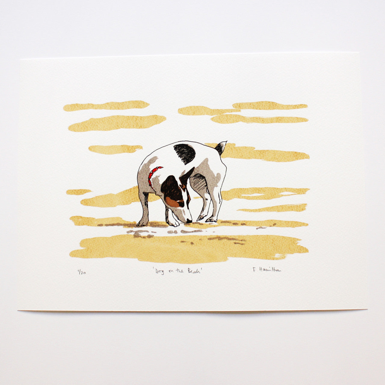 Dog on the Beach print by Fiona Hamilton
