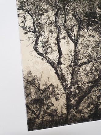 Autumn Light drypoint and litho printed chine collé etching original print by Fiona Hamilton.