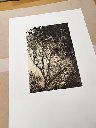 Autumn Light drypoint and litho printed chine collé etching original print by Fiona Hamilton.