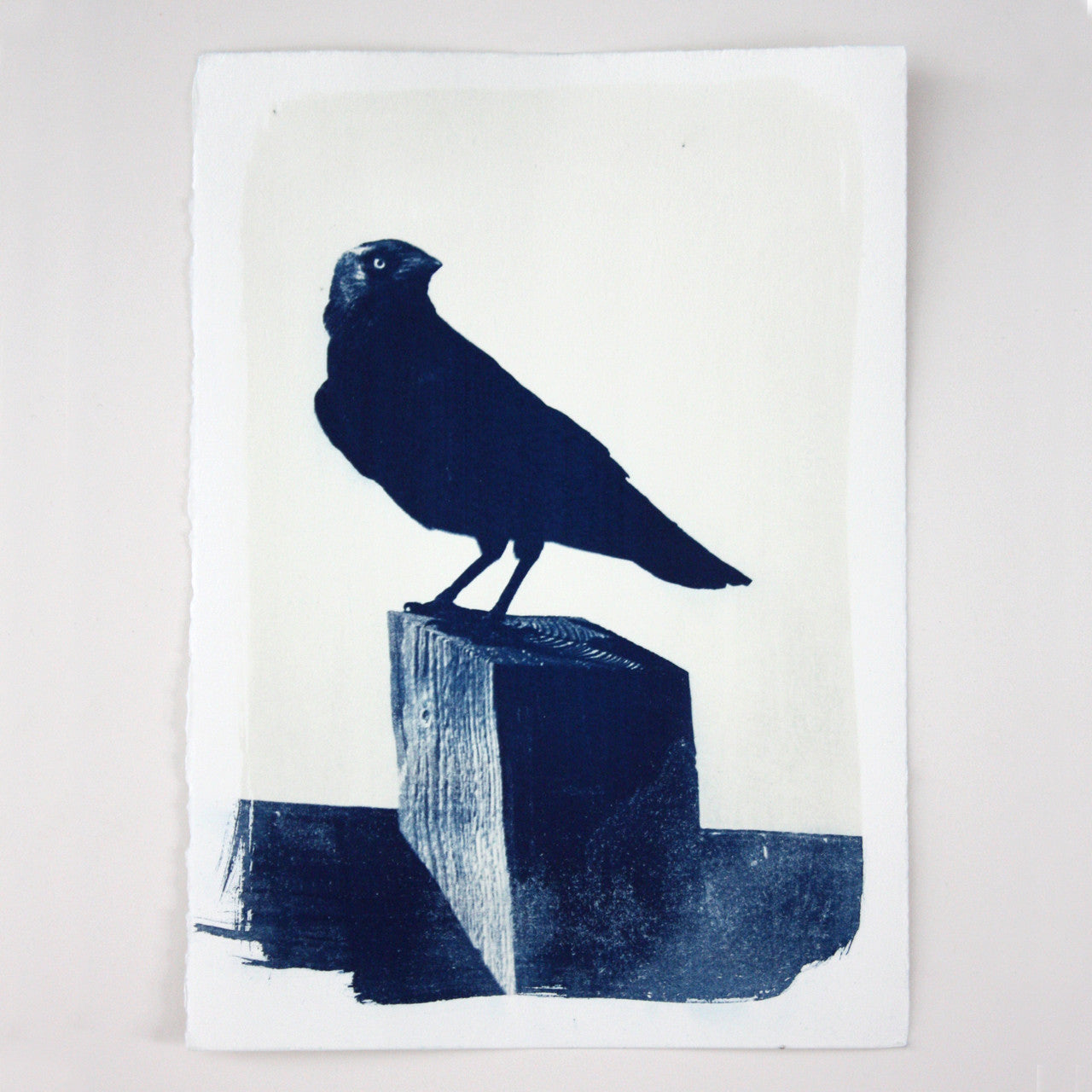 Jackdaw bird on post cyanotype prussian blue original art print by Fiona Hamilton.