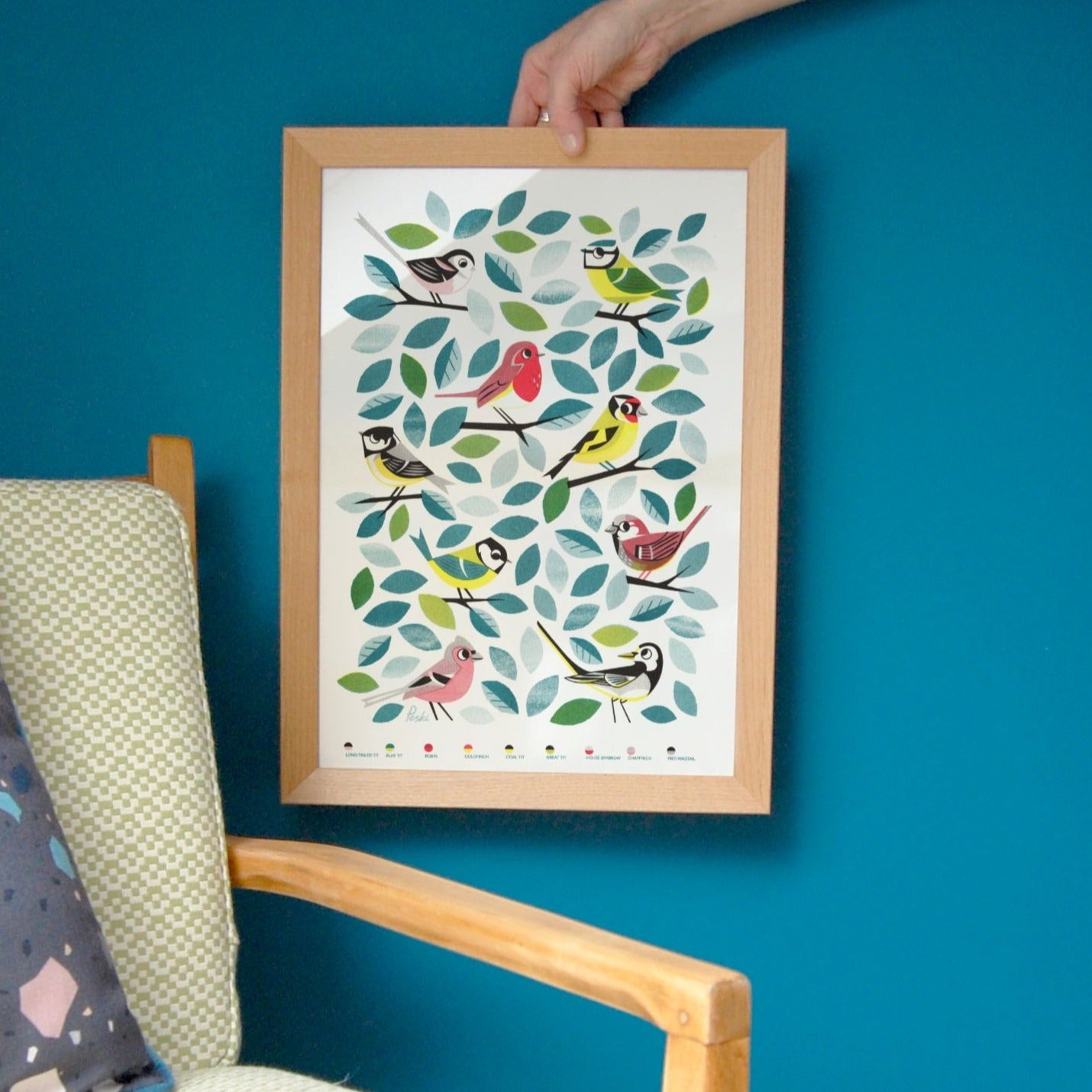 Garden birds a3 risograph print by Peski Studio.