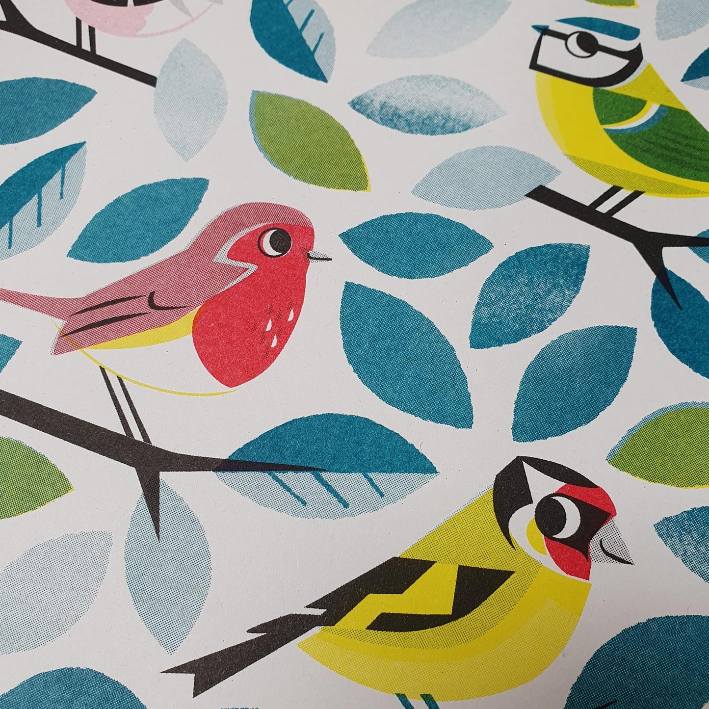 Garden birds a3 risograph print by Peski Studio.