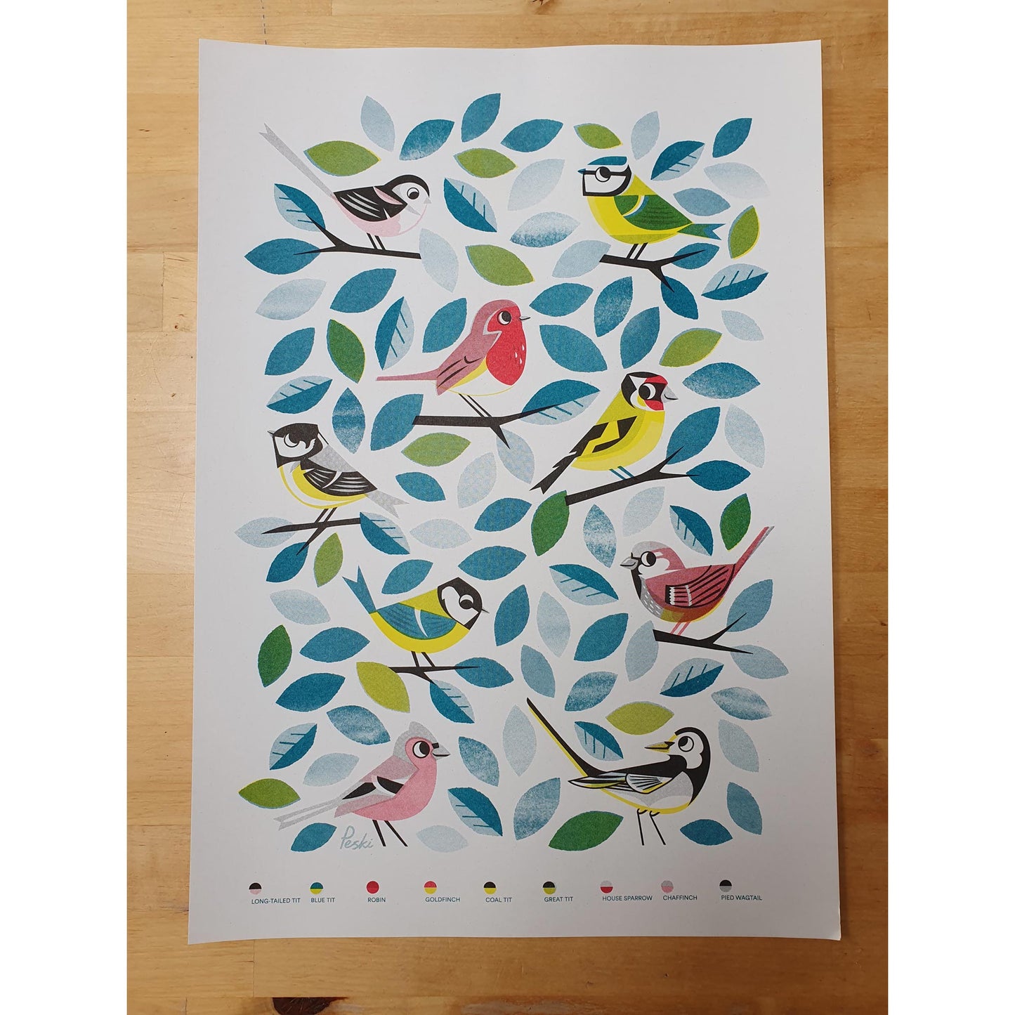 Garden birds a3 risograph print by Peski Studio.