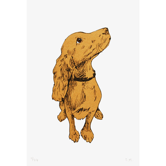 Golden Puppy ginger springer spaniel puppy dog silkscreen print by Fiona Hamilton.