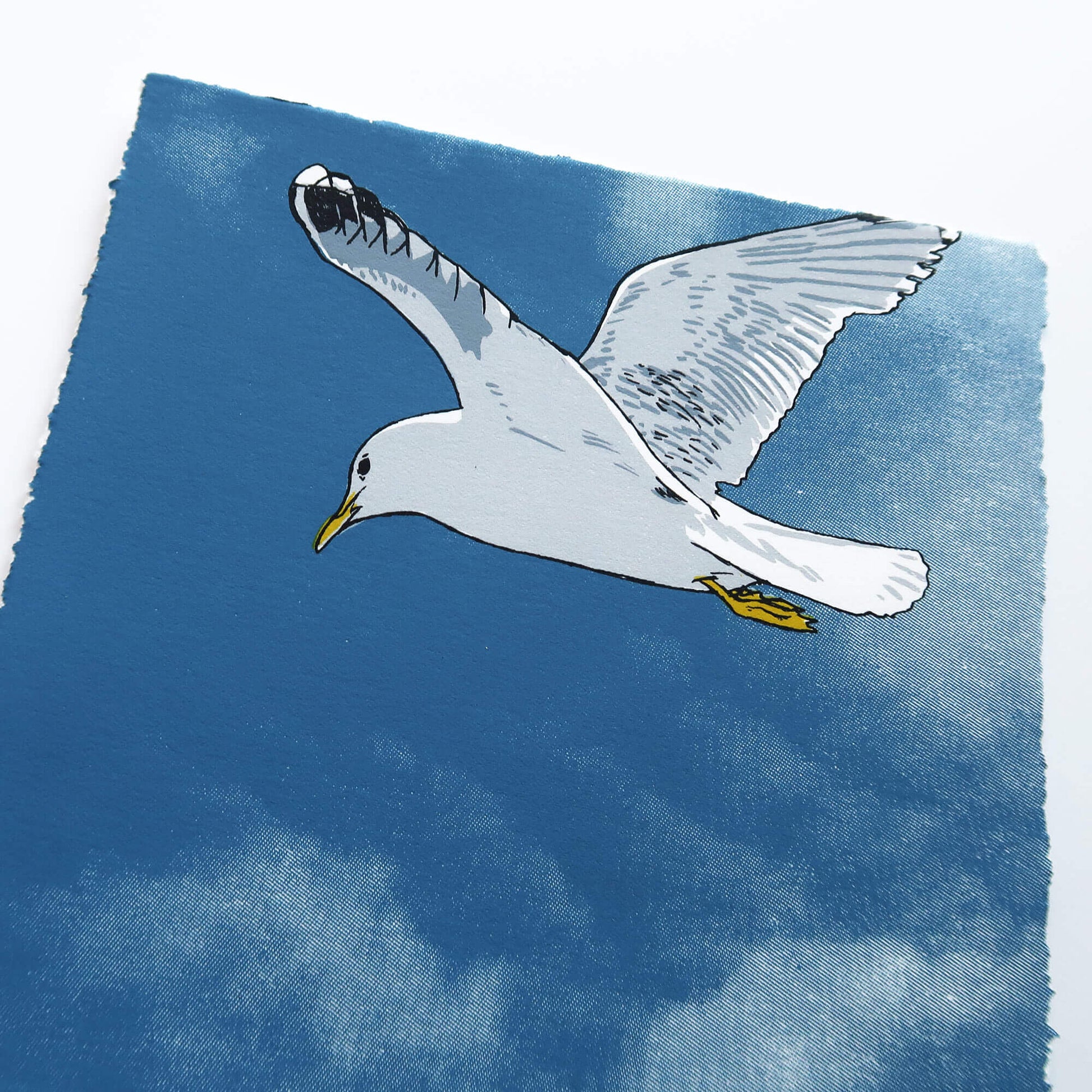 Flying gull by Fiona Hamilton featuring a seagull on a sky with clouds.