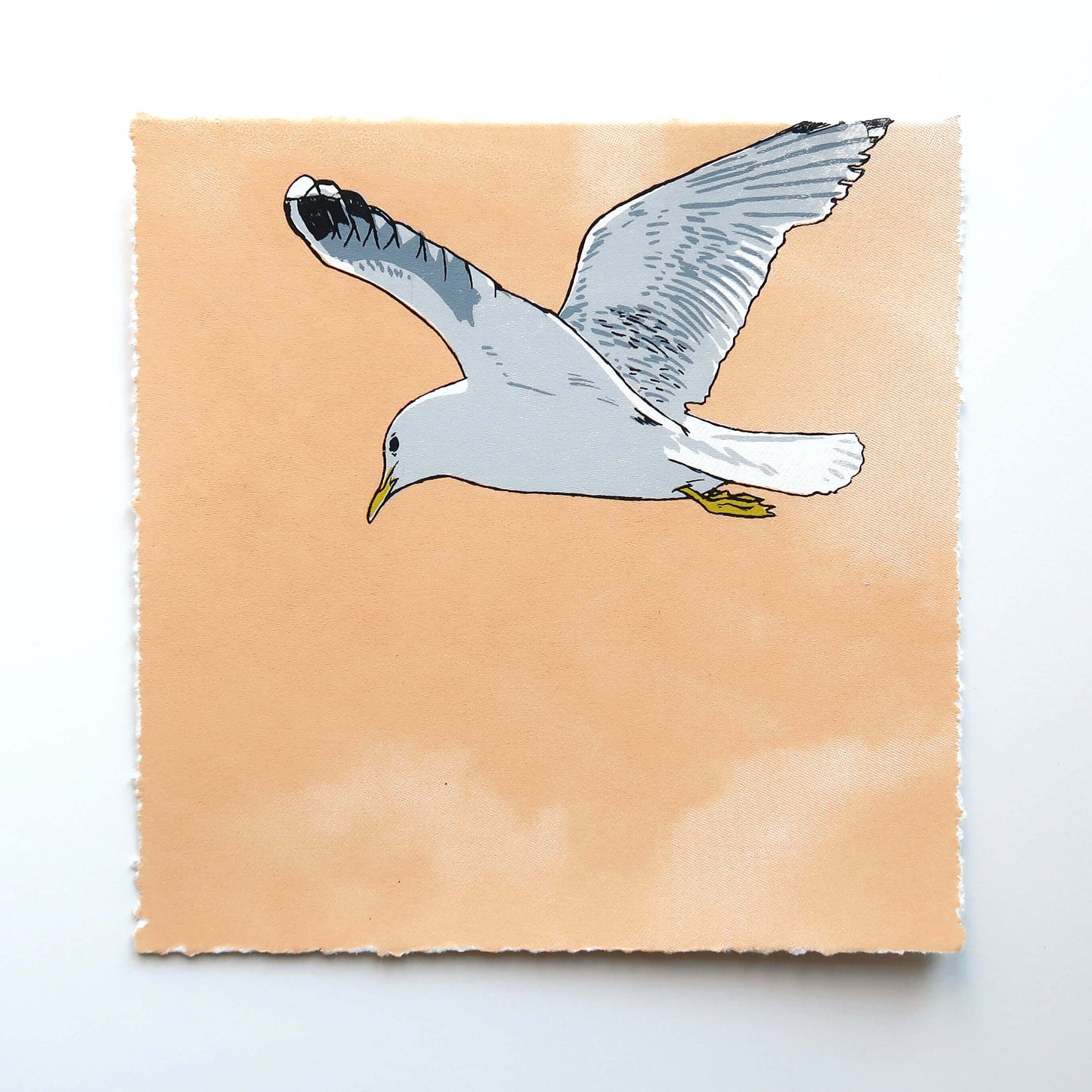 Flying gull by Fiona Hamilton featuring a seagull on a sky with clouds.