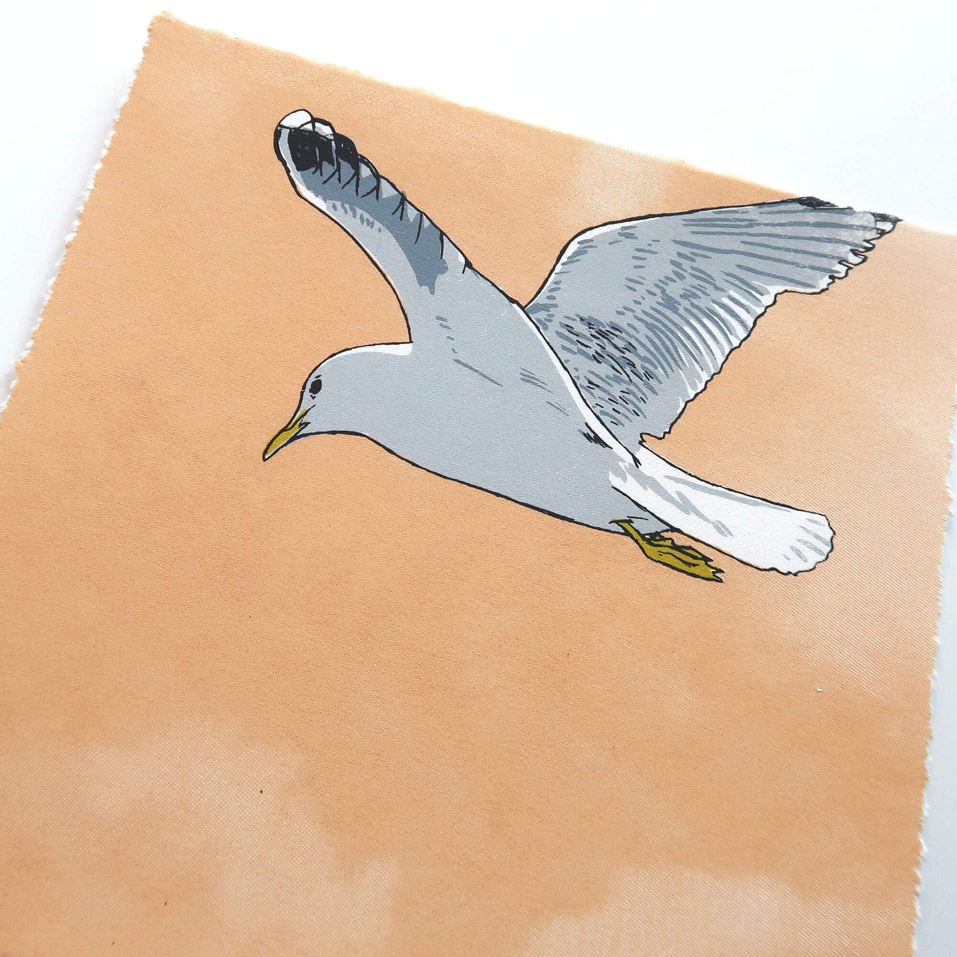 Flying gull by Fiona Hamilton featuring a seagull on a sky with clouds.
