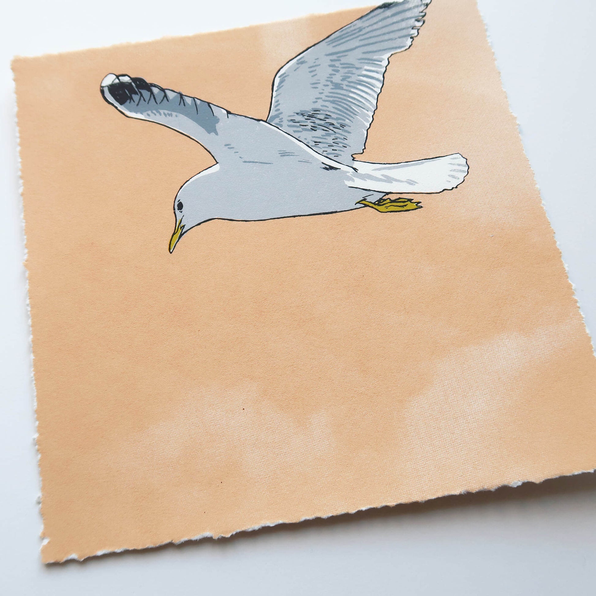 Flying gull by Fiona Hamilton featuring a seagull on a sky with clouds.